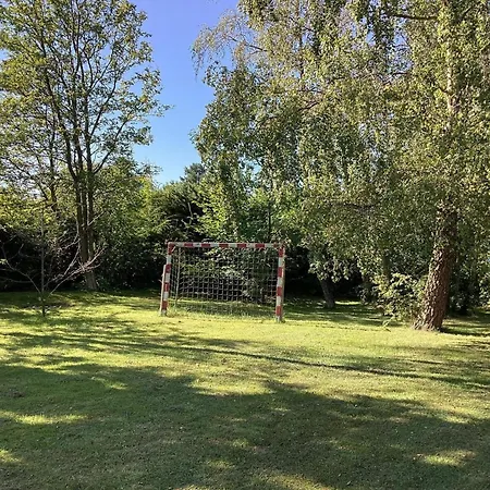 Ccxxvi 3*